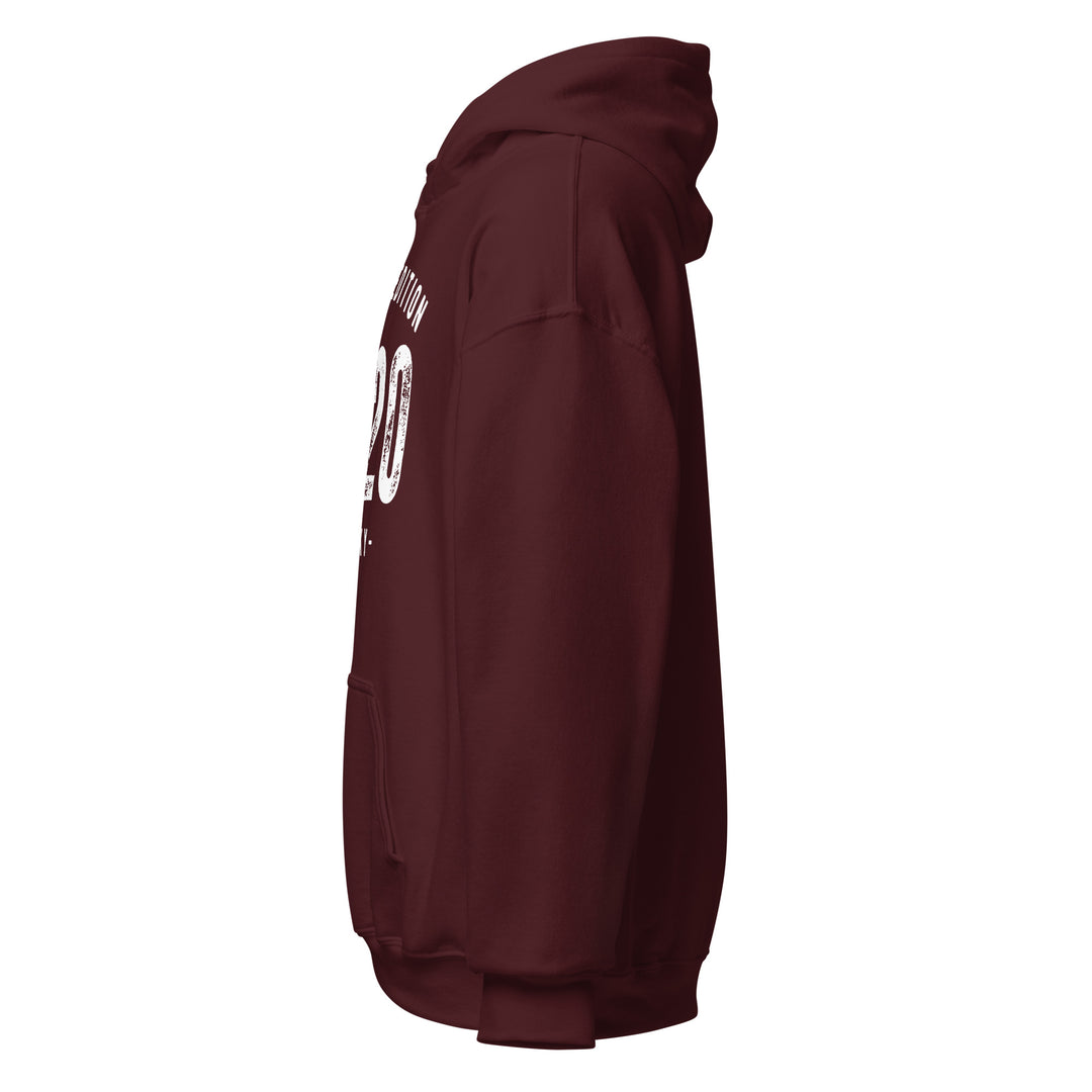 Techky Maroon Hoodie